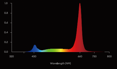 GLUCL standard spectrum